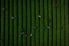 DJI_0187-1
