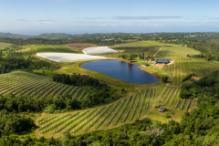 DJI_0198-Pano-1