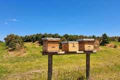 Website-11