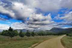 Website-13