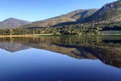 Dam on Wilderness Fruit Farm