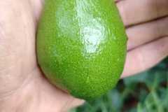 WhatsApp-Image-2025-12-10-at-11.58.52_2e7d2142